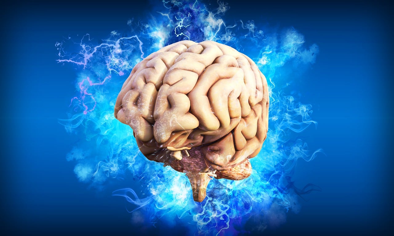 Unlock Your Brain’s Potential: The Power of Brain-Boosting Foods